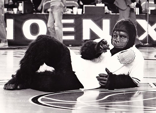 Valley of The Suns: The Charmed Life of the Phoenix Gorilla